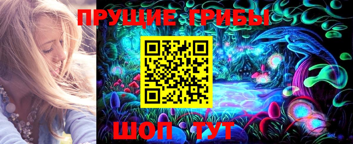 продажа наркотиков  Вход с VPN  Курчатов  Псилоцибиновые грибы мухоморы 